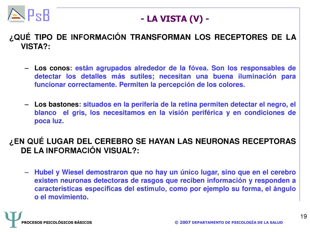 - LA VISTA (V) - ¿QUÉ TIPO DE INFORMACIÓN TRANSFORMAN LOS RECEPTORES DE LA VISTA :