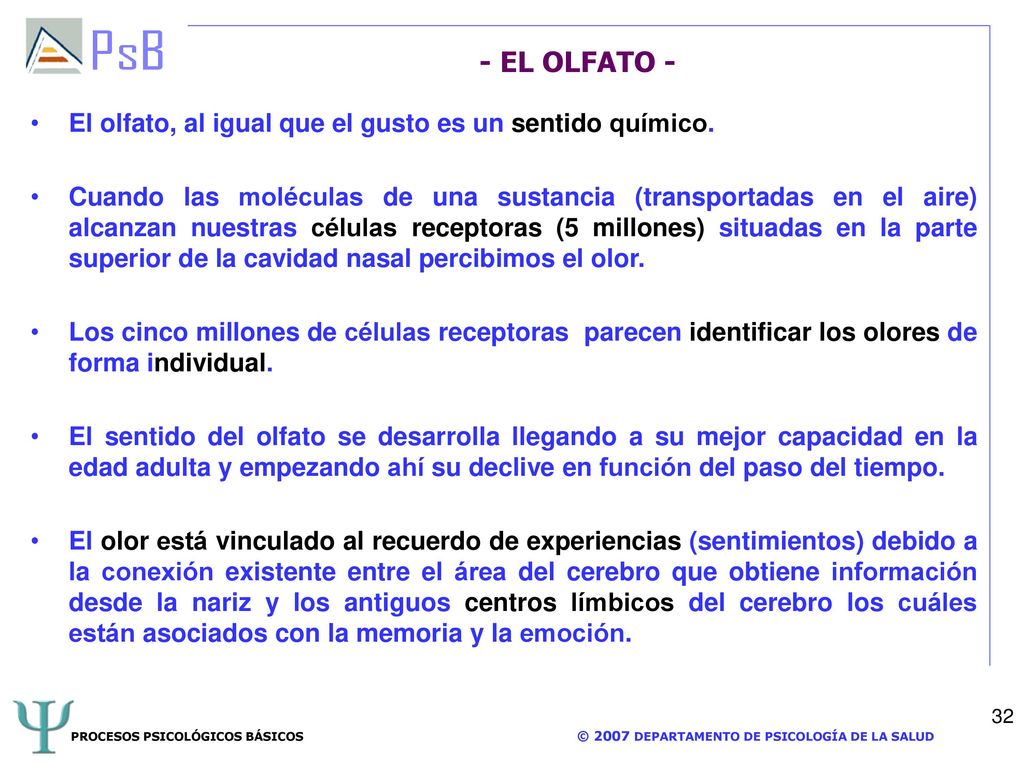 - EL OLFATO - El olfato, al igual que el gusto es un sentido químico.