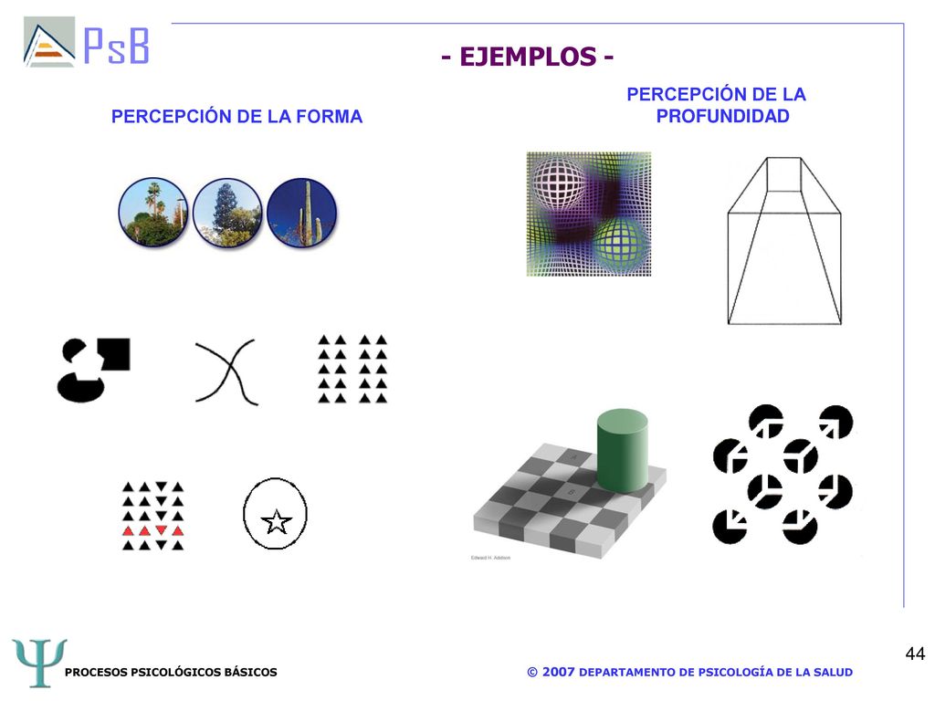 - EJEMPLOS - PERCEPCIÓN DE LA PROFUNDIDAD PERCEPCIÓN DE LA FORMA