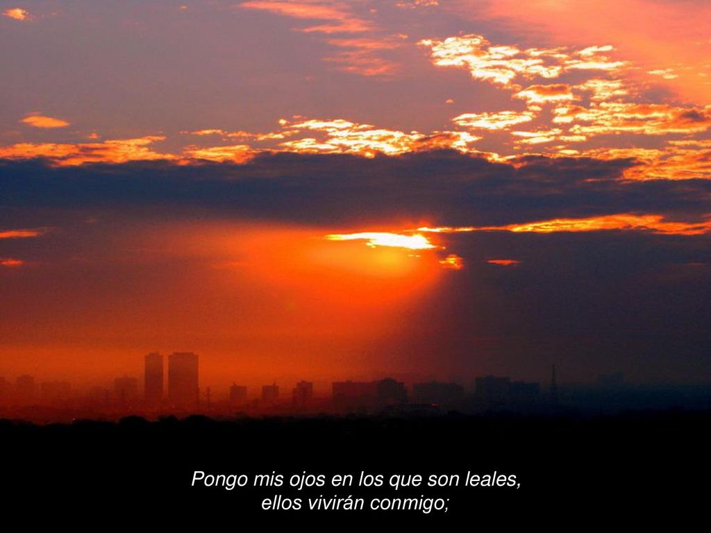 Pongo mis ojos en los que son leales, ellos vivirán conmigo;