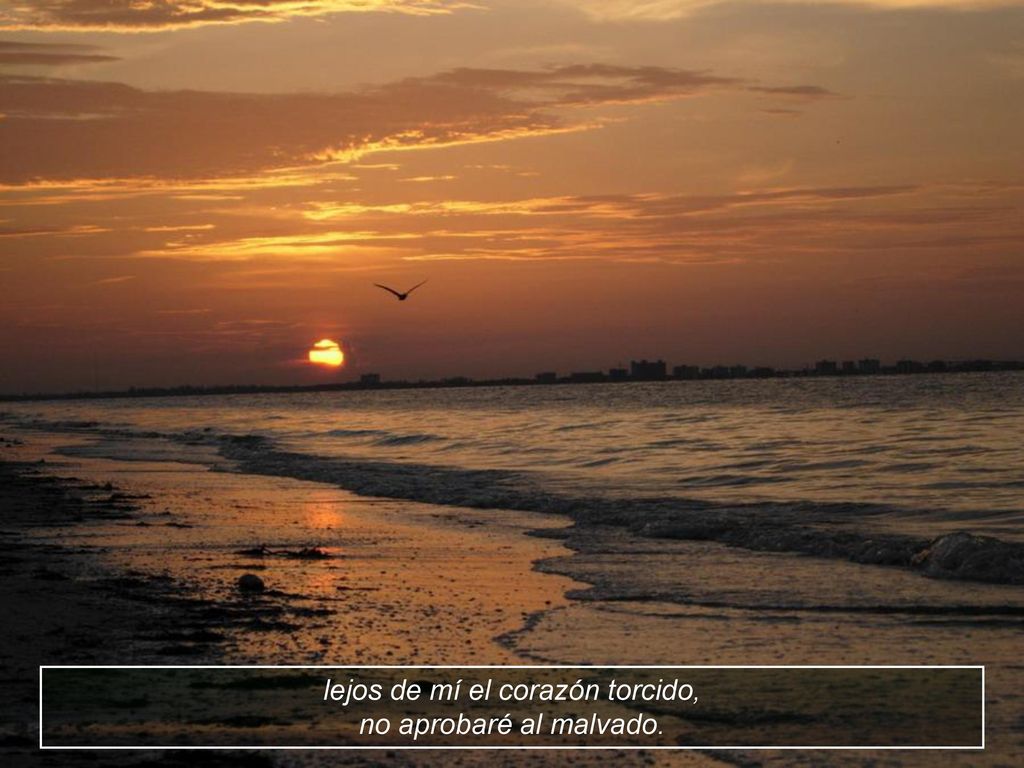 lejos de mí el corazón torcido, no aprobaré al malvado.