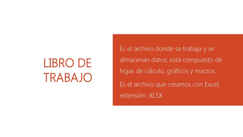 Es el archivo donde se trabaja y se almacenan datos; está compuesto de hojas de cálculo, gráficos y macros.