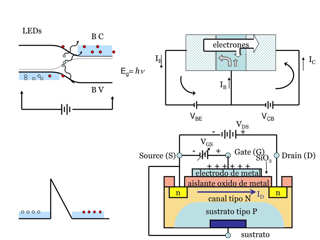 LEDs B C. VBE. VCB. IE. IB. IC. electrones. Eg= hn. B V. Drain (D) n. electrodo de metal.