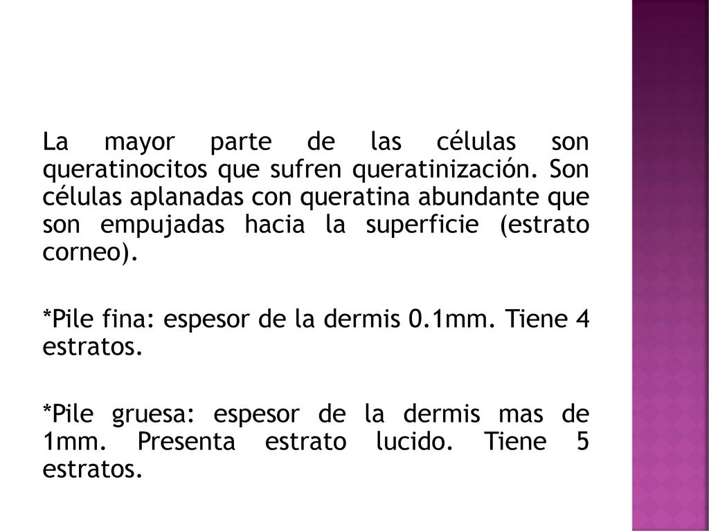La mayor parte de las células son queratinocitos que sufren queratinización.