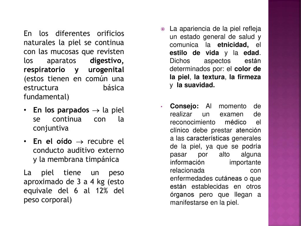 En los parpados  la piel se continua con la conjuntiva