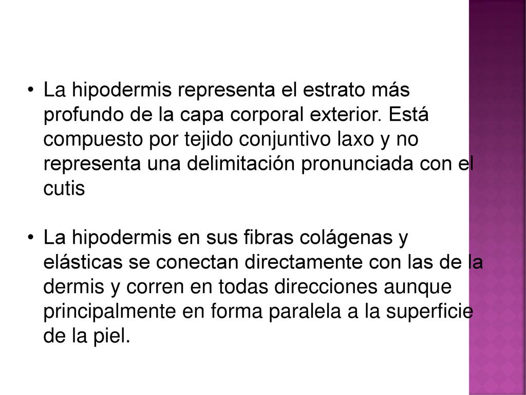 La hipodermis representa el estrato más profundo de la capa corporal exterior. Está compuesto por tejido conjuntivo laxo y no representa una delimitación pronunciada con el cutis