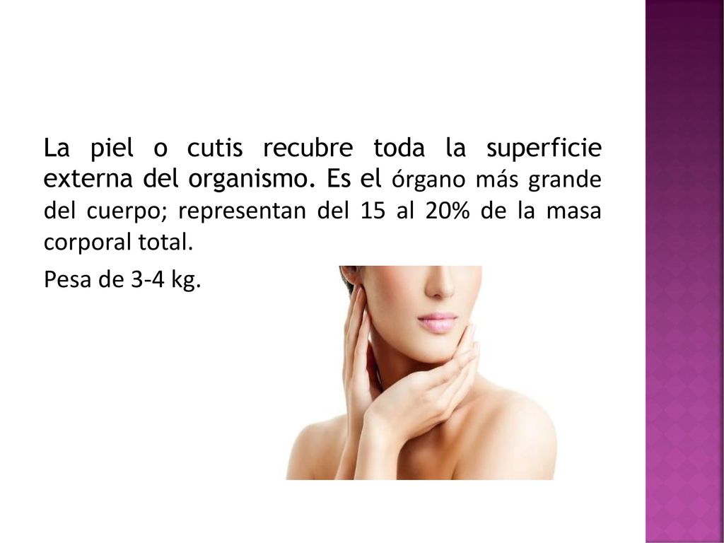 La piel o cutis recubre toda la superficie externa del organismo