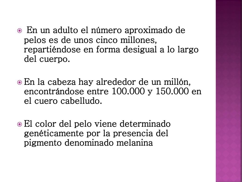 En un adulto el número aproximado de pelos es de unos cinco millones, repartiéndose en forma desigual a lo largo del cuerpo.