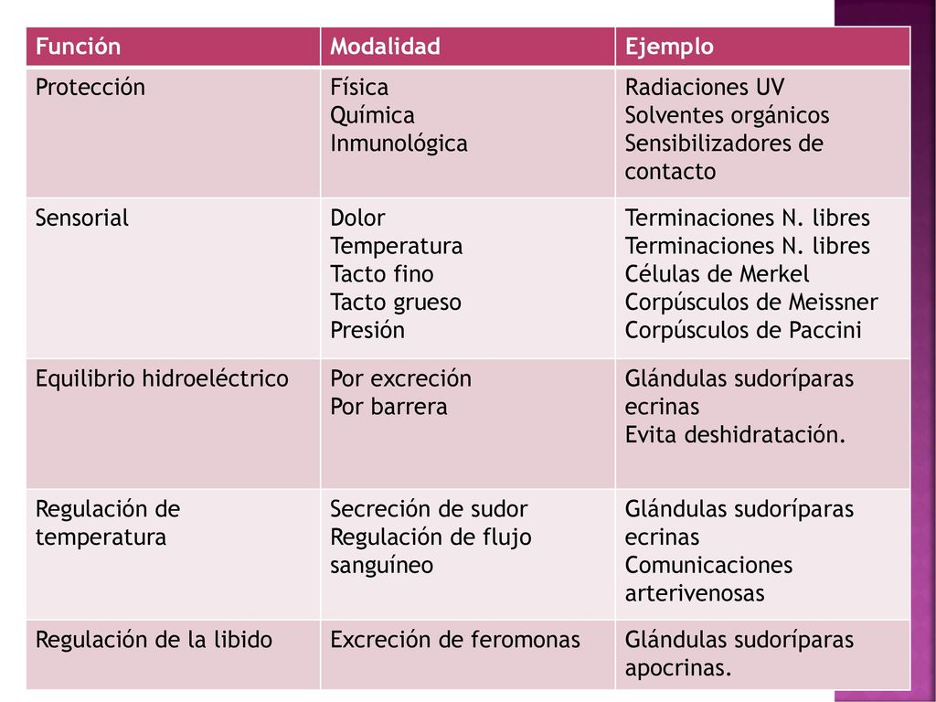 Función Modalidad. Ejemplo. Protección. Física. Química. Inmunológica. Radiaciones UV. Solventes orgánicos.