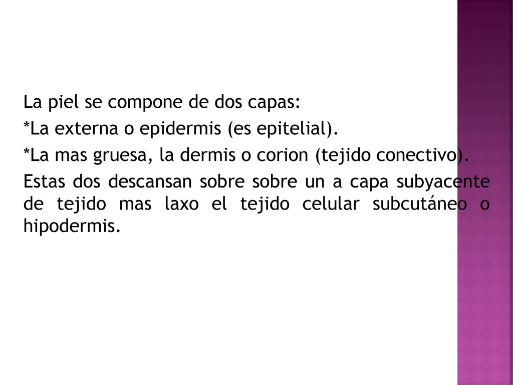 La piel se compone de dos capas: *La externa o epidermis (es epitelial).