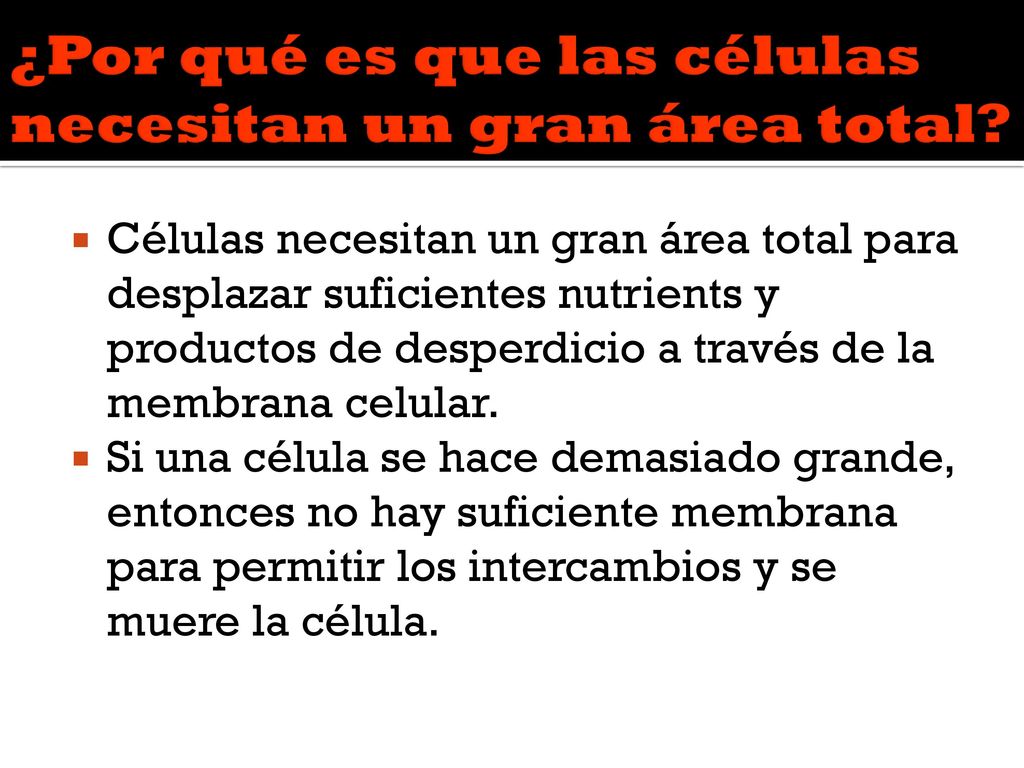 ¿Por qué es que las células necesitan un gran área total