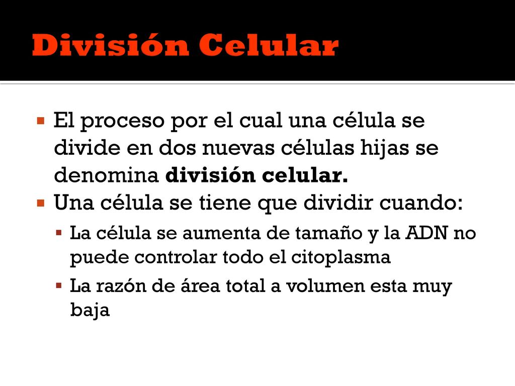 División Celular El proceso por el cual una célula se divide en dos nuevas células hijas se denomina división celular.