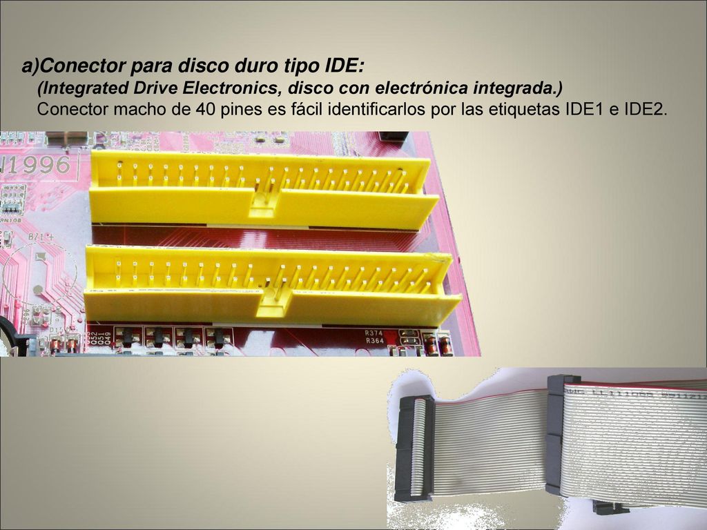 Conector para disco duro tipo IDE: