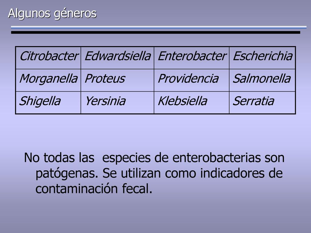 Algunos géneros Citrobacter. Edwardsiella. Enterobacter. Escherichia. Morganella. Proteus. Providencia.