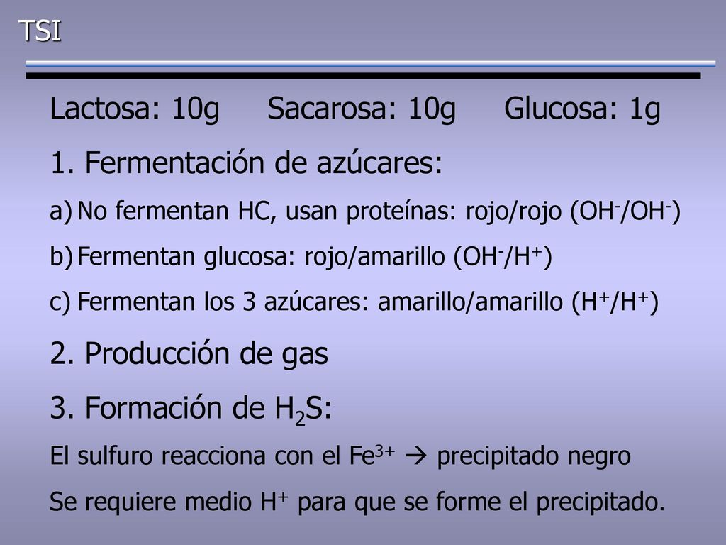 Lactosa: 10g Sacarosa: 10g Glucosa: 1g 1. Fermentación de azúcares: