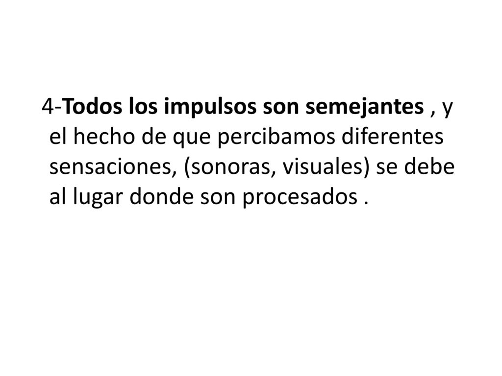 4-Todos los impulsos son semejantes , y el hecho de que percibamos diferentes sensaciones, (sonoras, visuales) se debe al lugar donde son procesados .