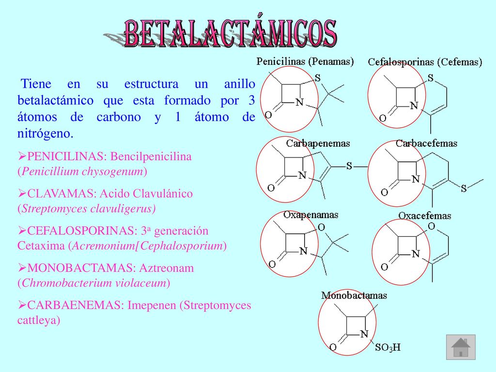 Betalactámicos Tiene en su estructura un anillo betalactámico que esta formado por 3 átomos de carbono y 1 átomo de nitrógeno.