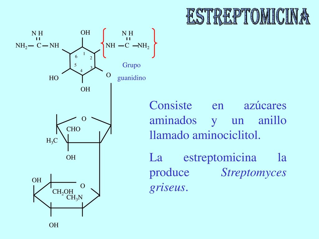 ESTREPTOMICINA N H. NH C NH2. NH2 C NH OH. HO. O. H3C.