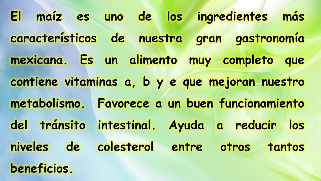El maíz es uno de los ingredientes más característicos de nuestra gran gastronomía mexicana.