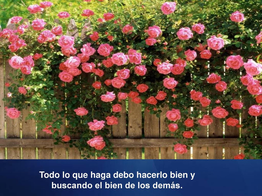 Todo lo que haga debo hacerlo bien y buscando el bien de los demás.
