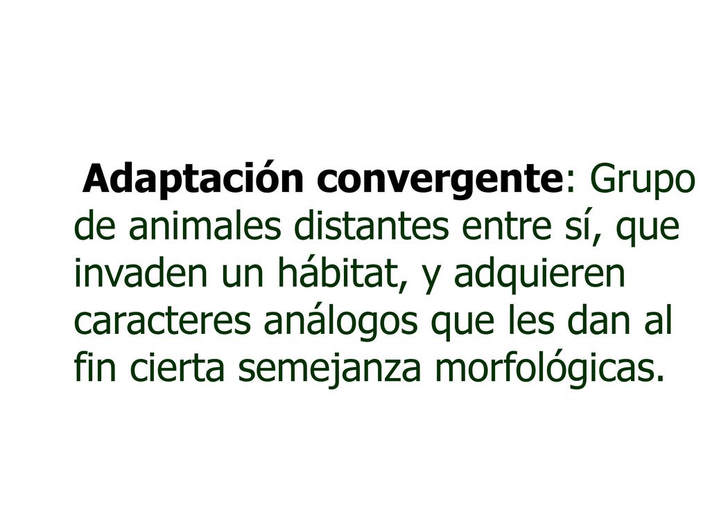 Adaptación convergente: Grupo de animales distantes entre sí, que invaden un hábitat, y adquieren caracteres análogos que les dan al fin cierta semejanza morfológicas.