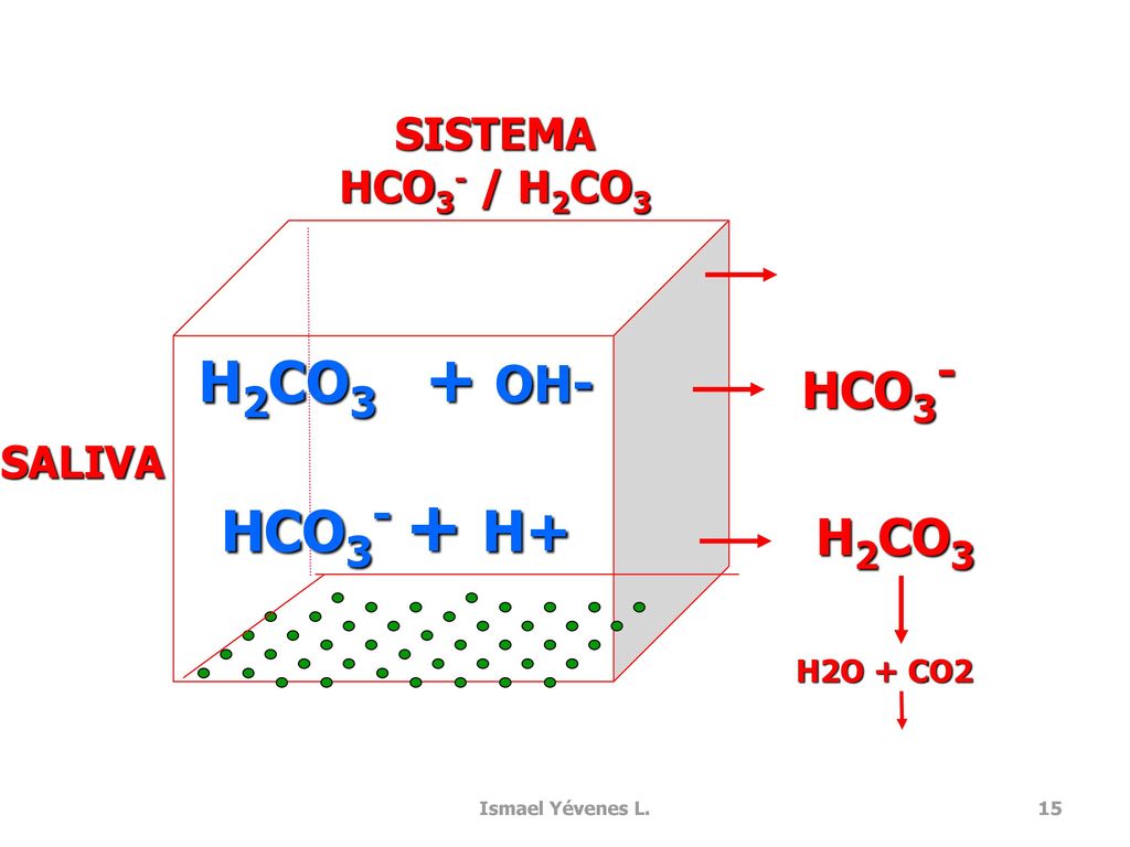H2CO3 + OH- HCO3- + H+ HCO3- H2CO3 SISTEMA HCO3- / H2CO3 SALIVA