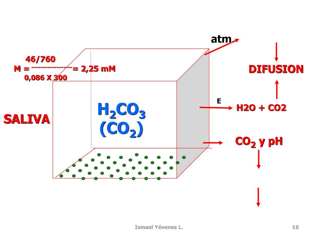 H2CO3 (CO2) SALIVA atm DIFUSION CO2 y pH H2O + CO2 46/760