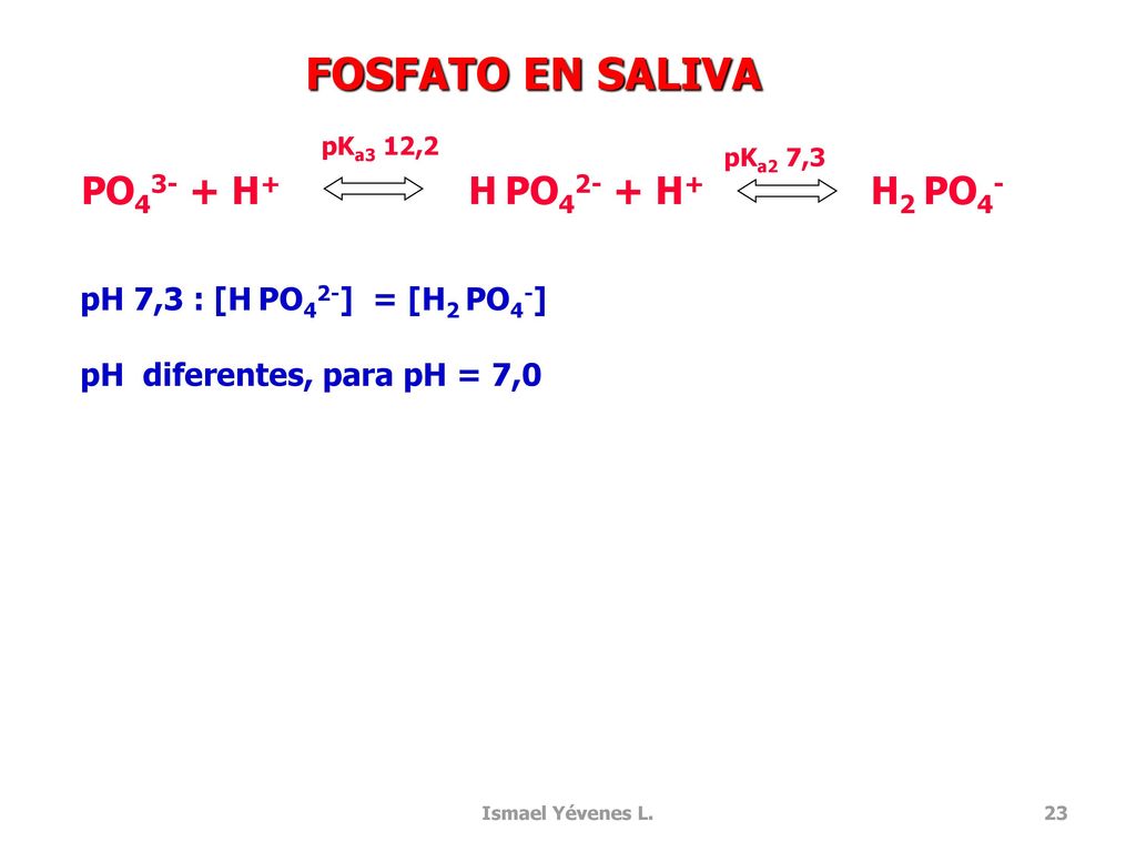 FOSFATO EN SALIVA PO43- + H+ H PO42- + H+ H2 PO4-