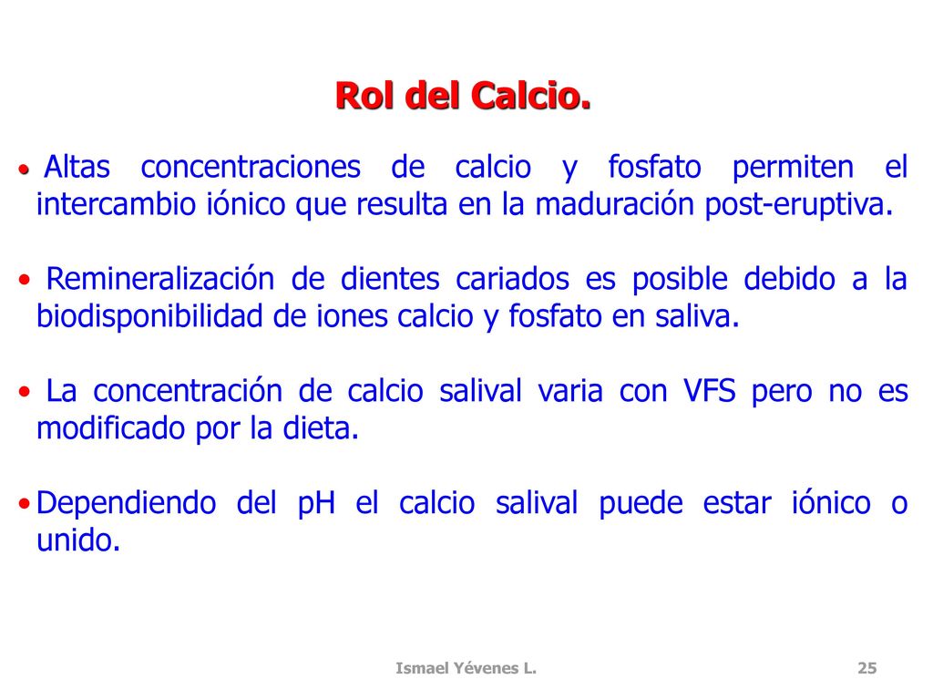 Rol del Calcio. Altas concentraciones de calcio y fosfato permiten el intercambio iónico que resulta en la maduración post-eruptiva.