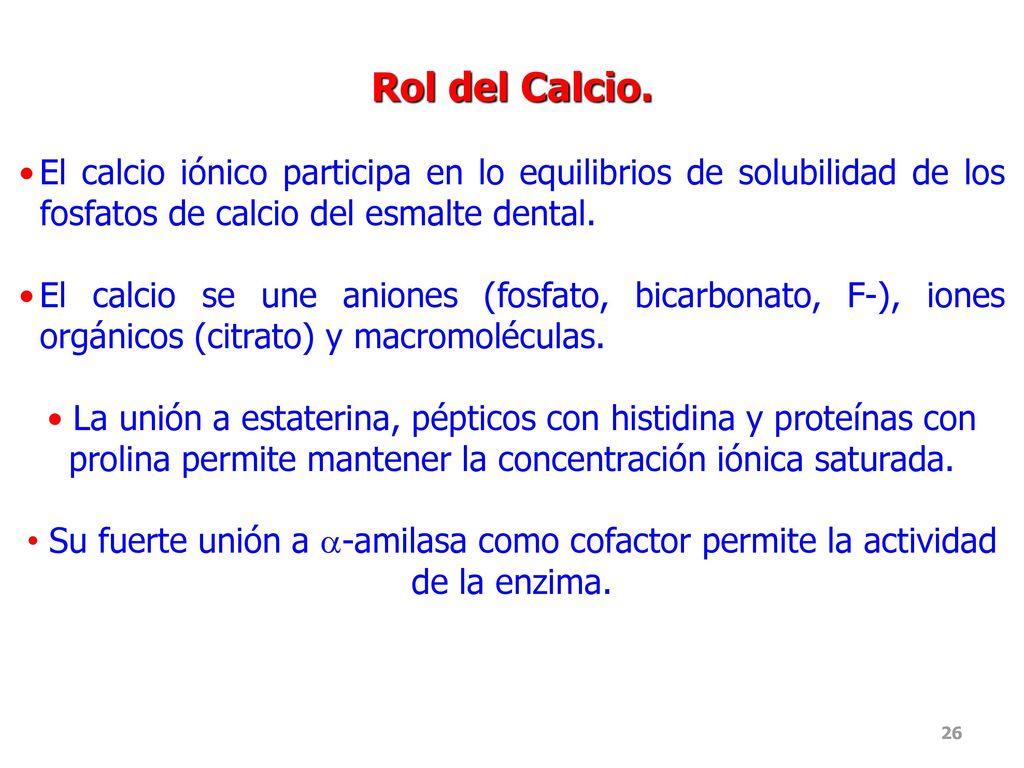 Rol del Calcio. El calcio iónico participa en lo equilibrios de solubilidad de los fosfatos de calcio del esmalte dental.