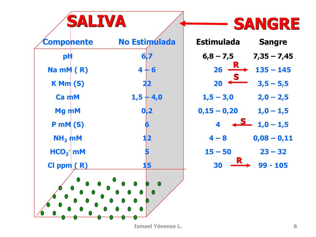 SALIVA SANGRE Componente No Estimulada Estimulada Sangre R S S R pH