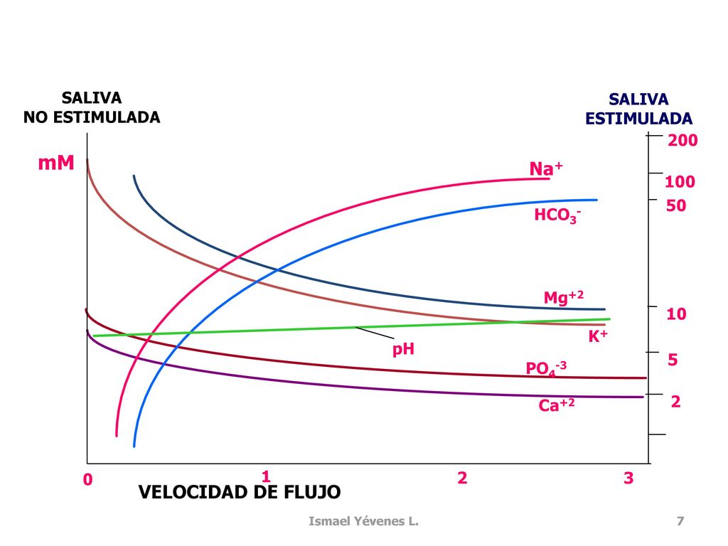 mM VELOCIDAD DE FLUJO SALIVA SALIVA NO ESTIMULADA ESTIMULADA 200 Na+