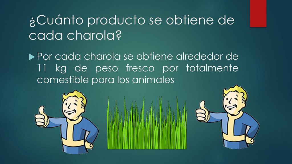 ¿Cuánto producto se obtiene de cada charola