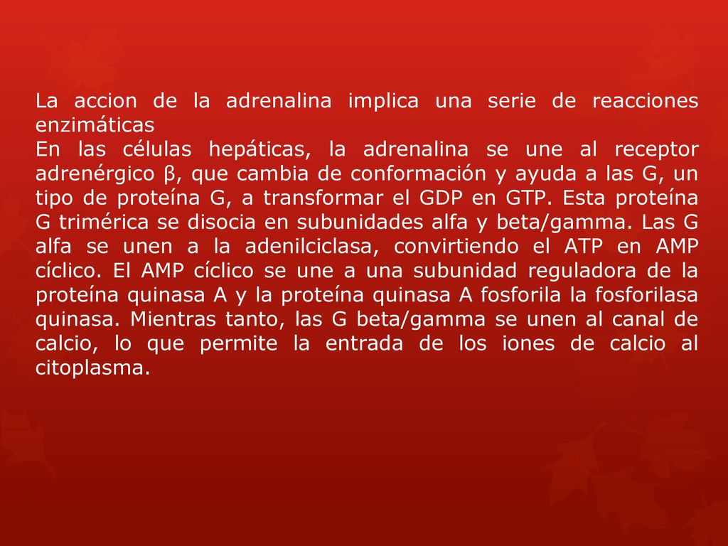 La accion de la adrenalina implica una serie de reacciones enzimáticas