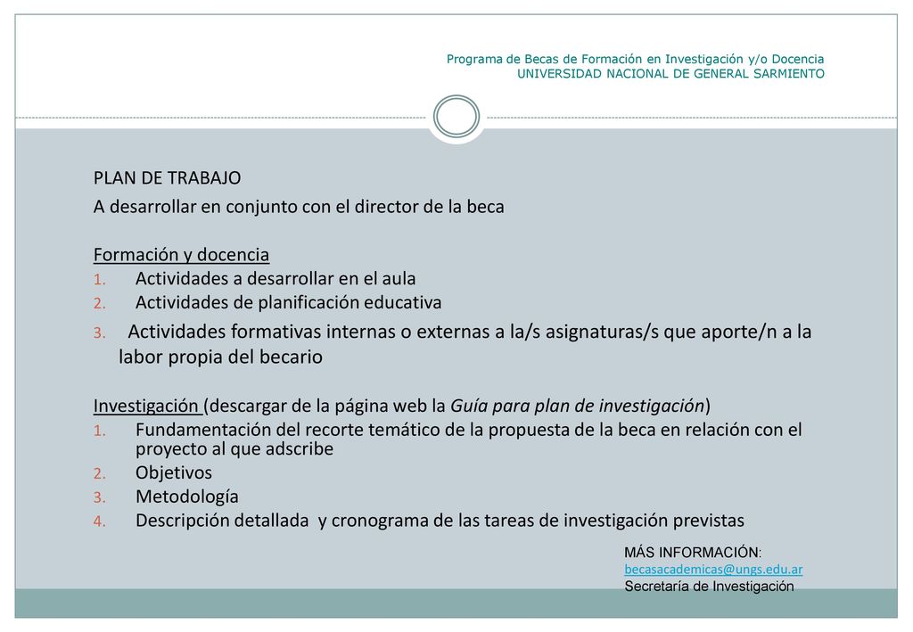 A desarrollar en conjunto con el director de la beca