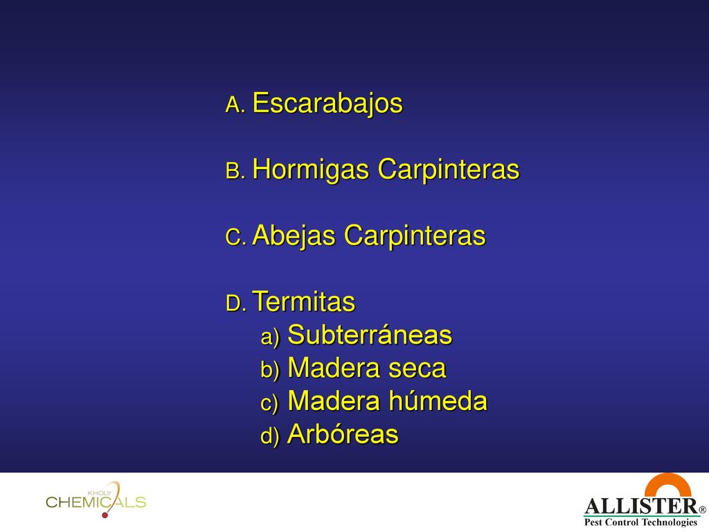 Escarabajos Hormigas Carpinteras. Abejas Carpinteras. Termitas. Subterráneas. Madera seca. Madera húmeda.