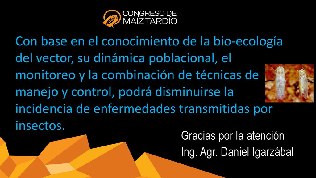Con base en el conocimiento de la bio-ecología del vector, su dinámica poblacional, el monitoreo y la combinación de técnicas de manejo y control, podrá disminuirse la incidencia de enfermedades transmitidas por insectos.