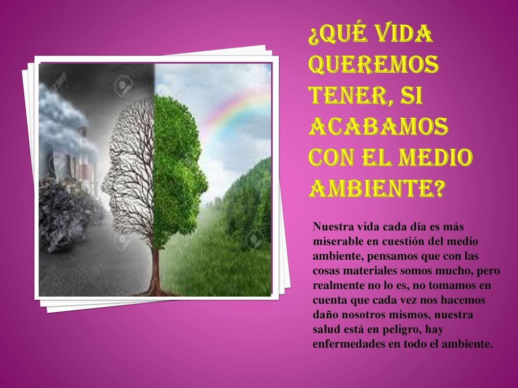 ¿Qué vida queremos tener, si acabamos con el medio ambiente