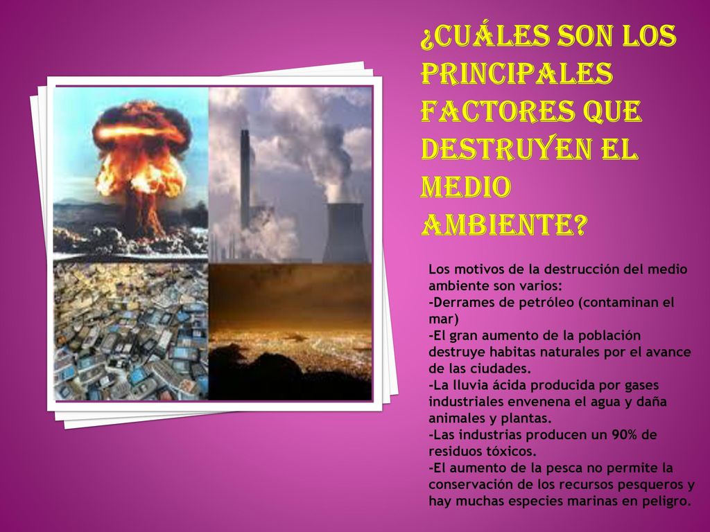¿Cuáles son los principales factores que destruyen el medio ambiente