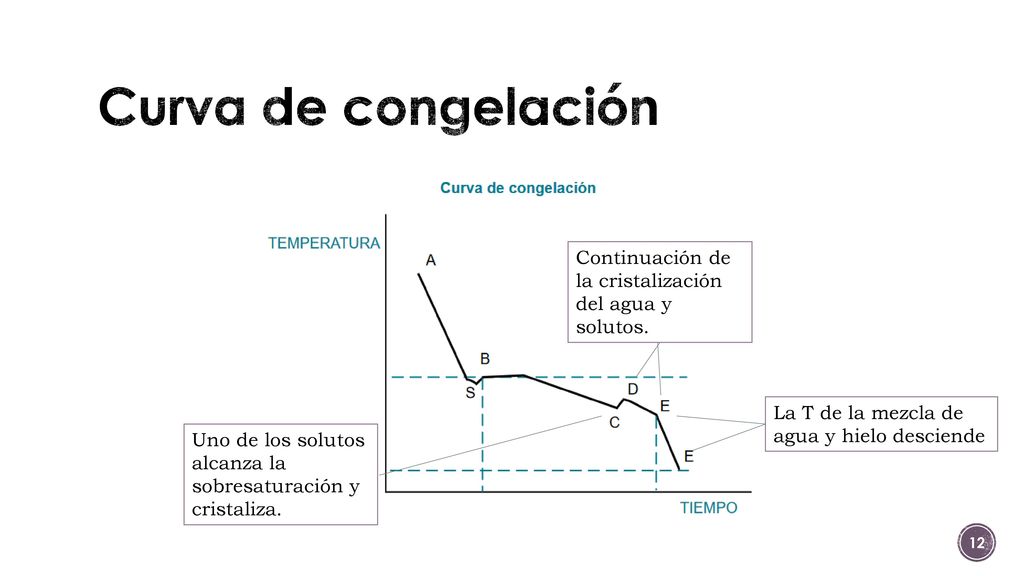 Curva de congelación Continuación de la cristalización del agua y solutos. CD: