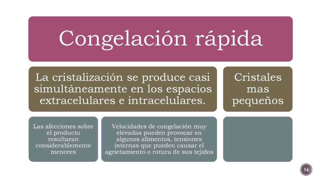 Congelación rápida La cristalización se produce casi simultáneamente en los espacios extracelulares e intracelulares.