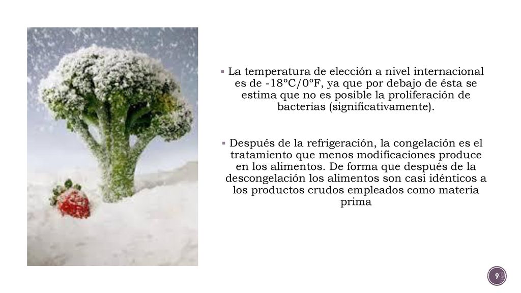 La temperatura de elección a nivel internacional es de -18ºC/0ºF, ya que por debajo de ésta se estima que no es posible la proliferación de bacterias (significativamente).