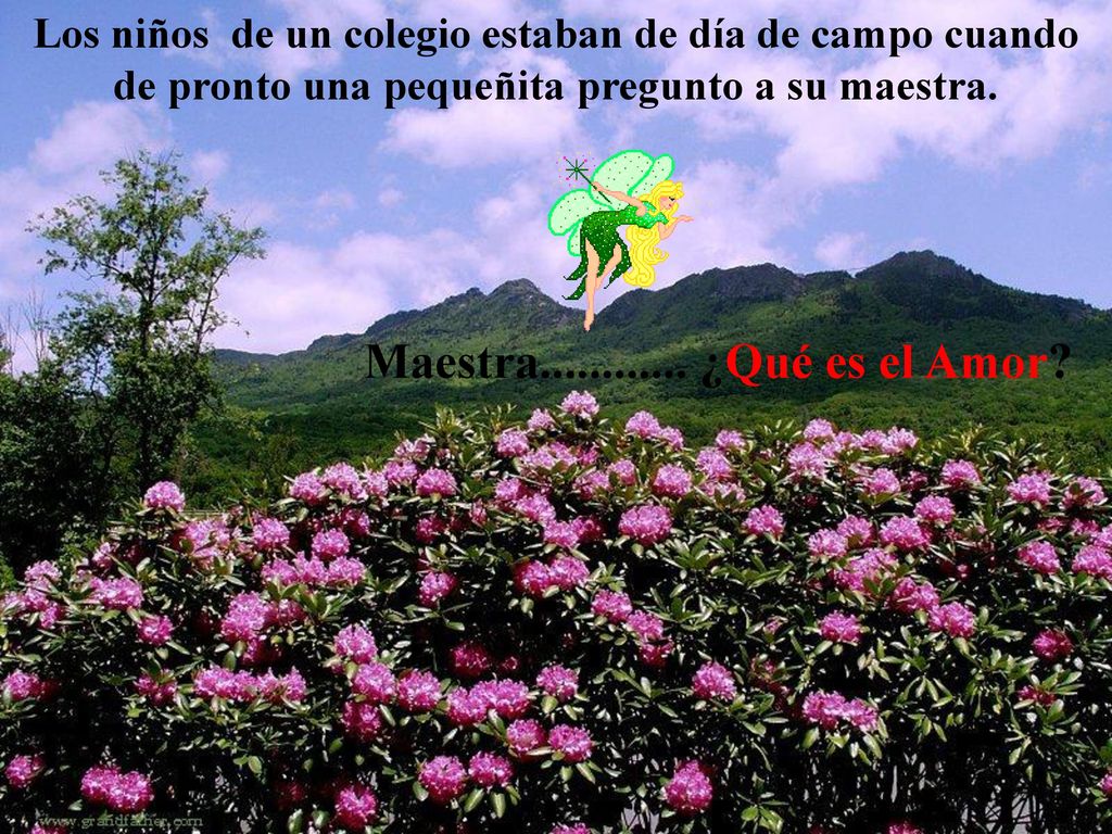 Los niños de un colegio estaban de día de campo cuando de pronto una pequeñita pregunto a su maestra.