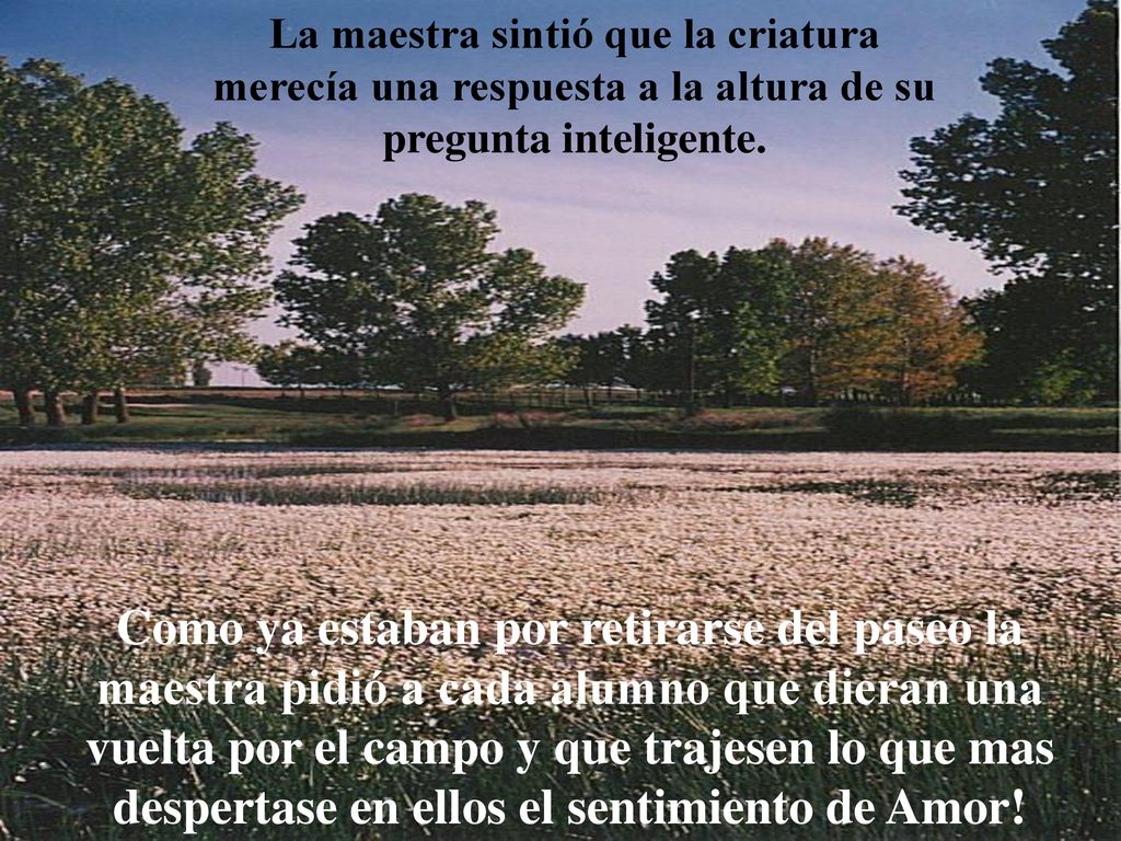 La maestra sintió que la criatura merecía una respuesta a la altura de su pregunta inteligente.