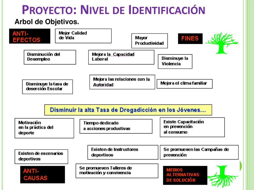 Proyecto: Nivel de Identificación