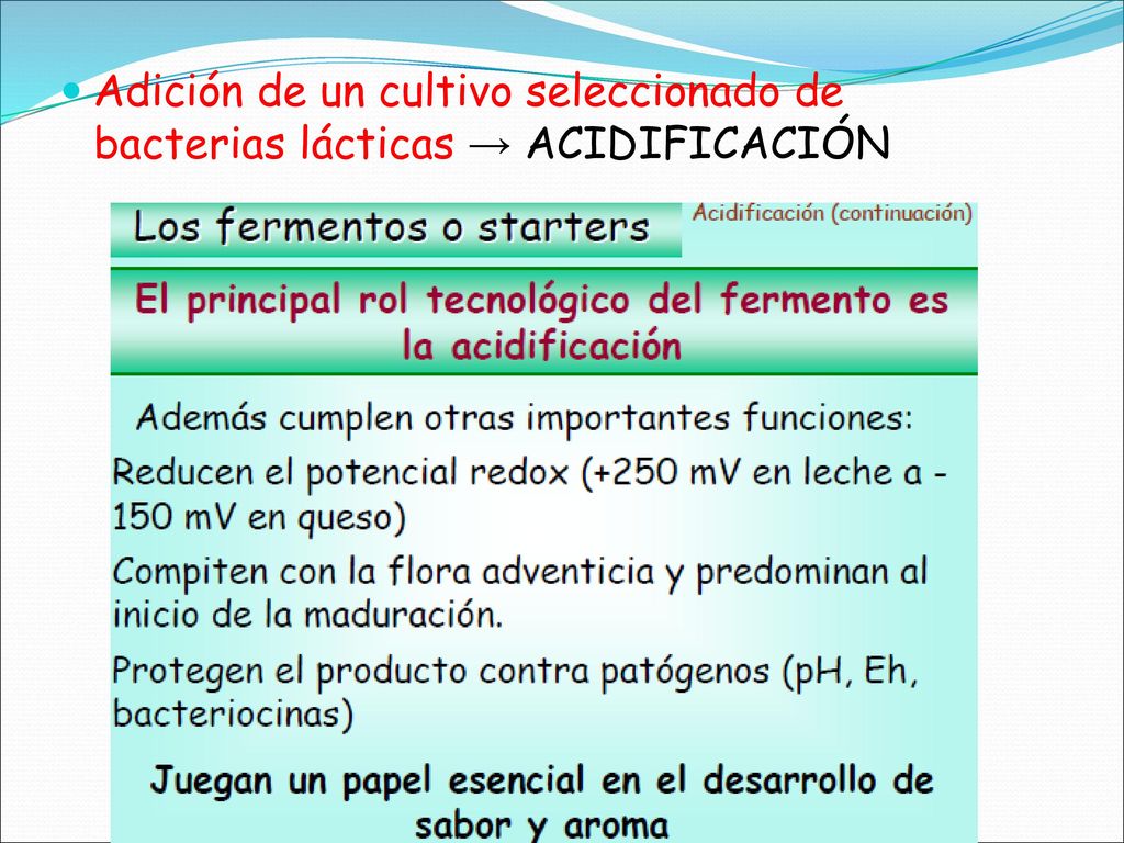 Adición de un cultivo seleccionado de bacterias lácticas → ACIDIFICACIÓN