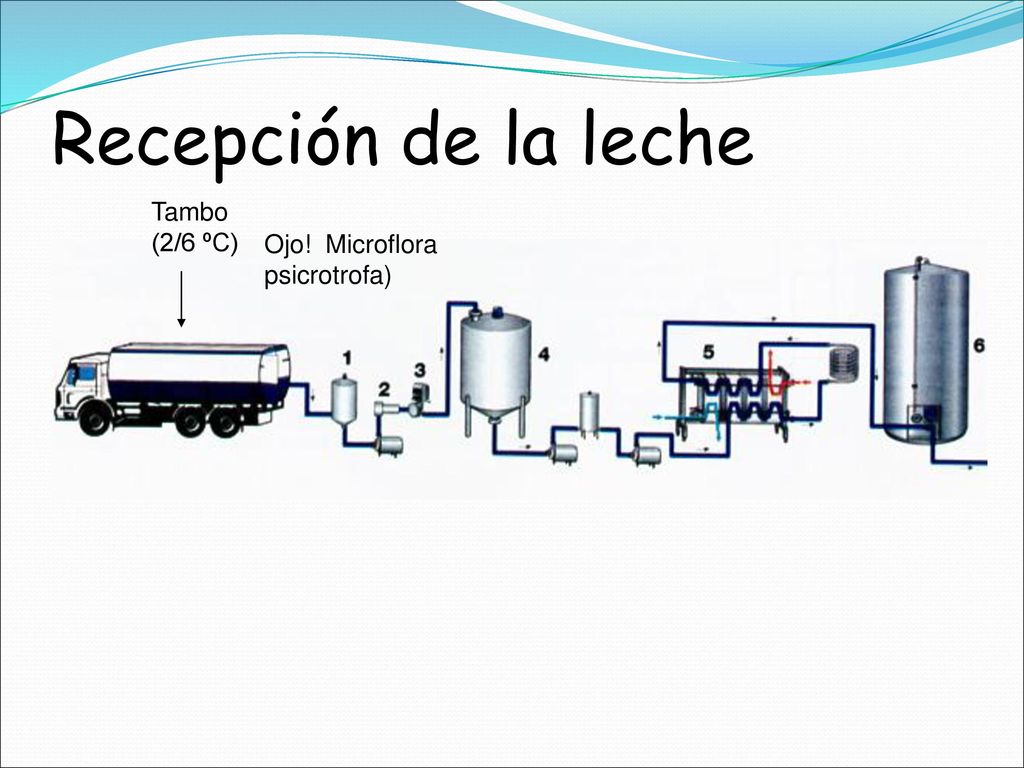 Recepción de la leche Tambo (2/6 ºC) Ojo! Microflora psicrotrofa)