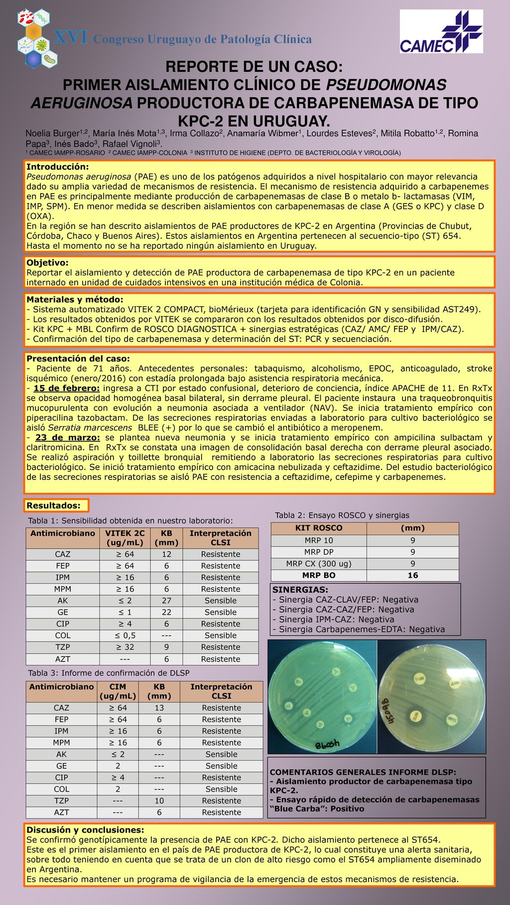 REPORTE DE UN CASO: PRIMER AISLAMIENTO CLÍNICO DE PSEUDOMONAS AERUGINOSA PRODUCTORA DE CARBAPENEMASA DE TIPO KPC-2 EN URUGUAY.