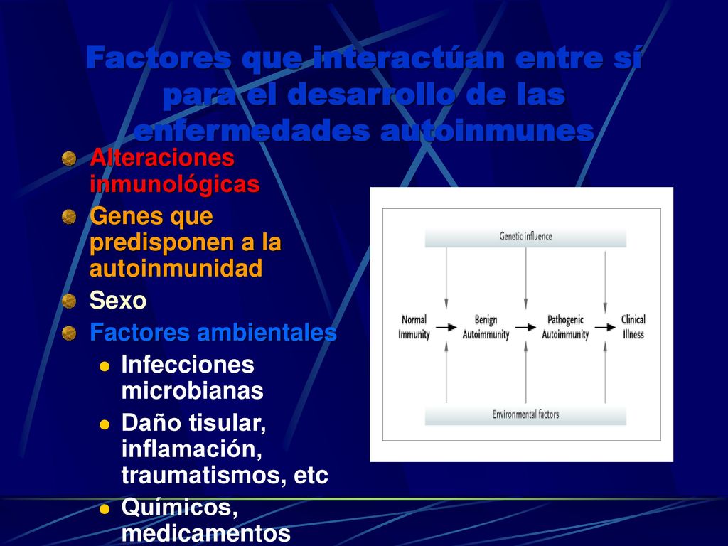 Factores que interactúan entre sí para el desarrollo de las enfermedades autoinmunes