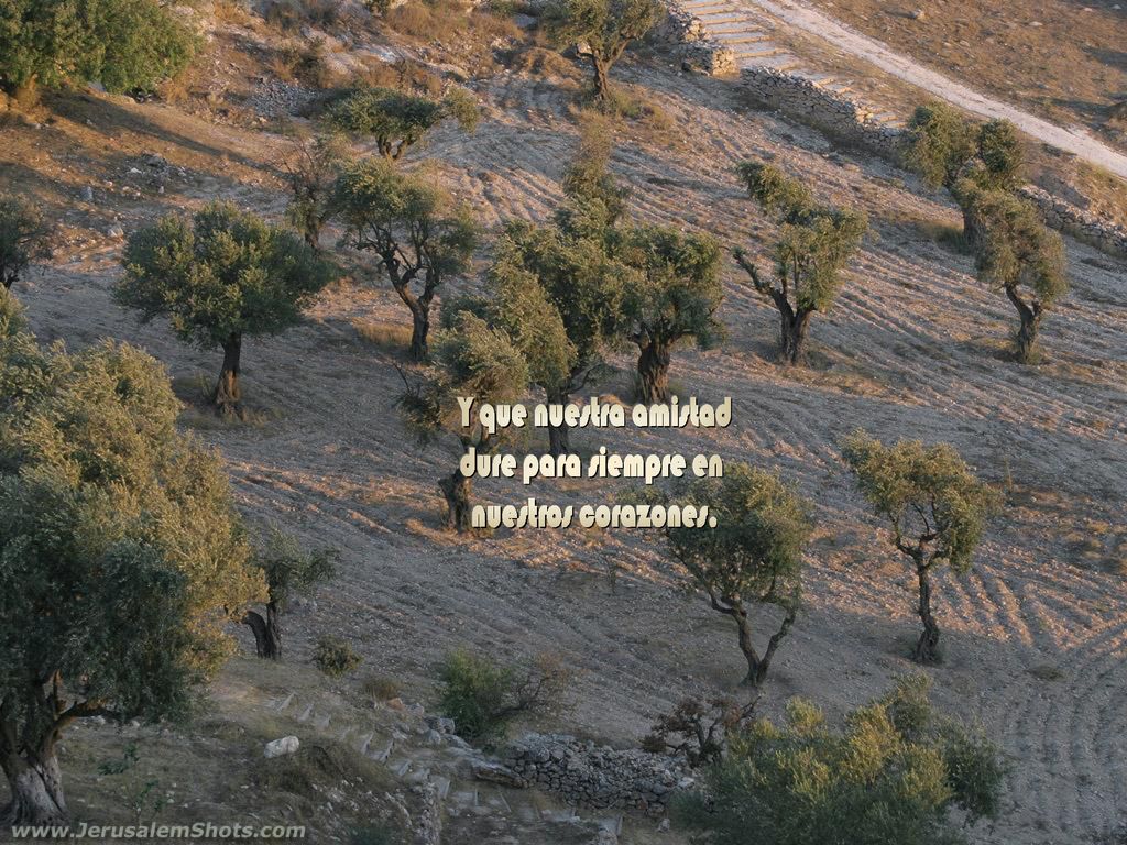 Y que nuestra amistad dure para siempre en nuestros corazones.